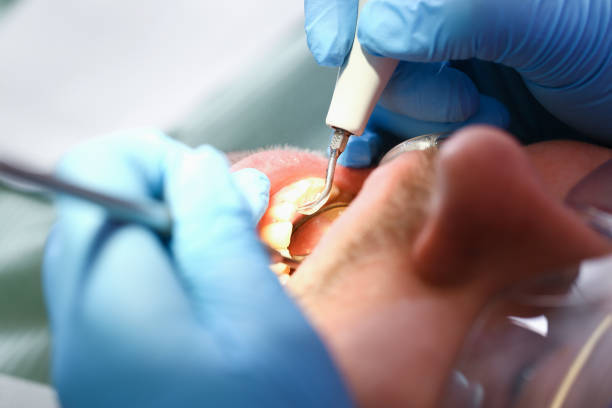 Best Urgent Dental Care  in Triangle, VA